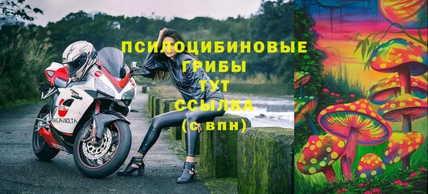 ПСИЛОЦИБИНОВЫЕ ГРИБЫ Абинск