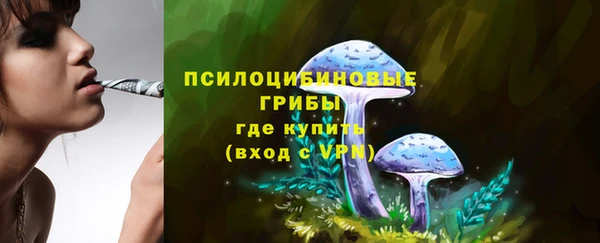 ПСИЛОЦИБИНОВЫЕ ГРИБЫ Абинск