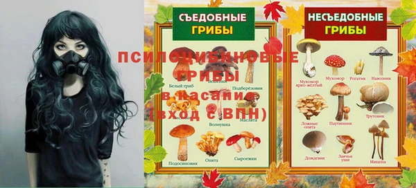 ПСИЛОЦИБИНОВЫЕ ГРИБЫ Абинск