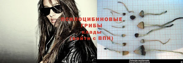 ПСИЛОЦИБИНОВЫЕ ГРИБЫ Абинск