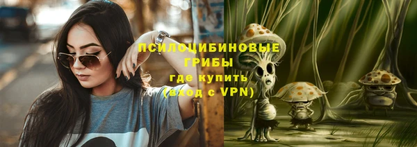 ПСИЛОЦИБИНОВЫЕ ГРИБЫ Абинск
