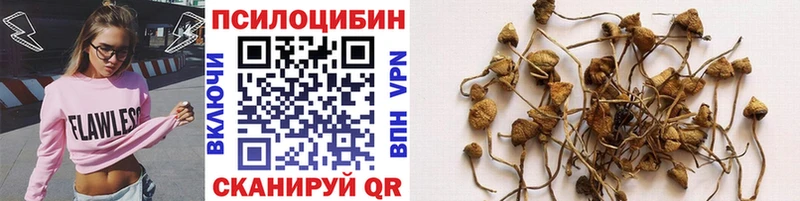 Галлюциногенные грибы ЛСД  Шумерля 